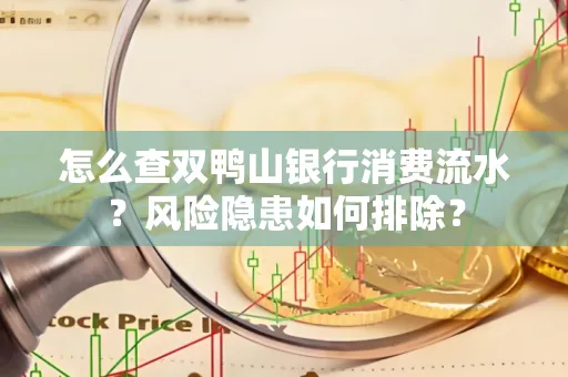 怎么查双鸭山银行消费流水？风险隐患如何排除？