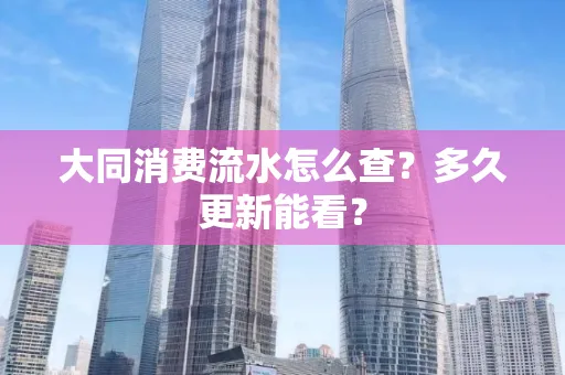 大同消费流水怎么查？多久更新能看？