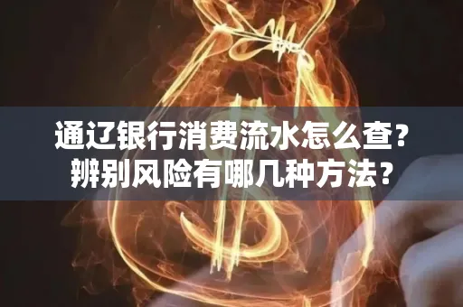 通辽银行消费流水怎么查？辨别风险有哪几种方法？